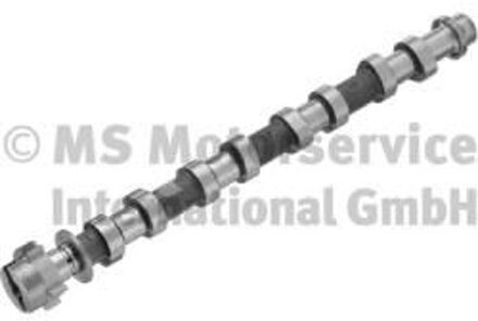 Renault Nokkenas 50007710