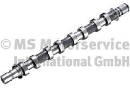 Renault Nokkenas 50007774