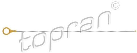 Renault Oliepeilstok 702676