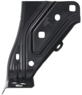 Renault Ophanging, spatbordfixering 7802036001381P