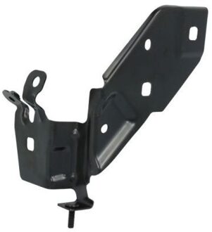 Renault Ophanging, spatbordfixering 7802036034383P