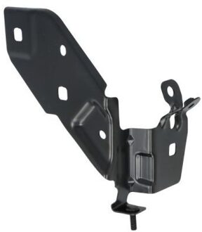 Renault Ophanging, spatbordfixering 7802036034384P