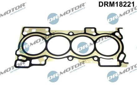 Renault Pakking, cilinderkop DRM18221
