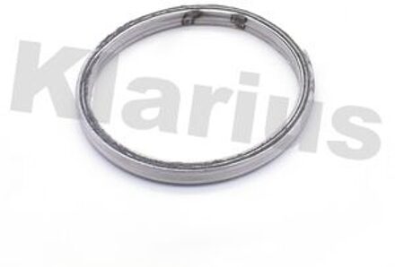 Renault Pakking, uitlaatpijp 410580