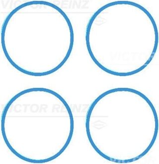 Renault Pakkingsset, inlaatspruitstuk 114221601