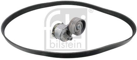 Renault Poly V-riem set 183562