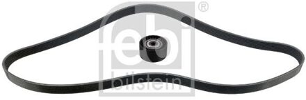 Renault Poly V-riem set 184757