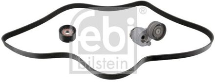 Renault Poly V-riem set 184865