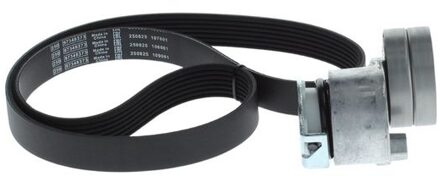 Renault Poly V-riem set 1987600711