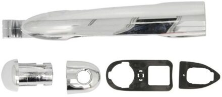 Renault Portiergreep buitenkant 601009049405PPC