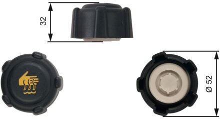 Renault Radiateur dop