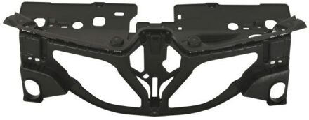 Renault Radiateurgrille 6502076012991P