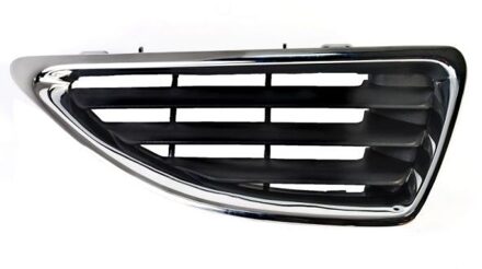 Renault Radiateurgrille 6502076037994P
