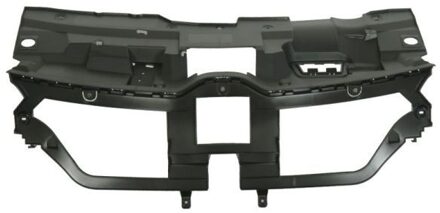 Renault Radiateurgrille 6502076040210P