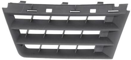 Renault Radiateurgrille 6502076042991Q