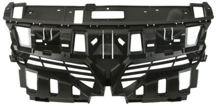 Renault Radiateurgrille 6502076046994P