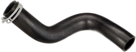 Renault Radiateurslang 055399