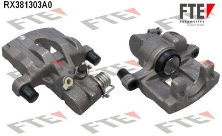 Renault Remklauw links achter