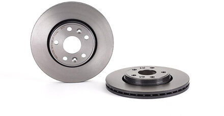 Renault Remschijf 09813731