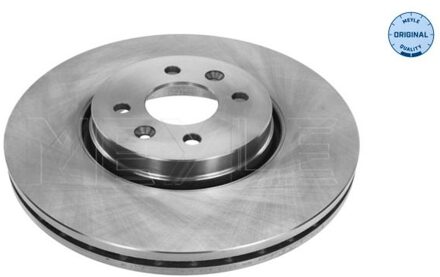 Renault Remschijf 16155210038