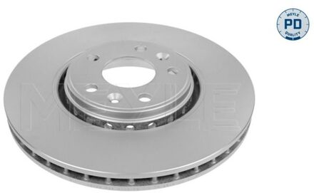 Renault Remschijf 16155210043PD