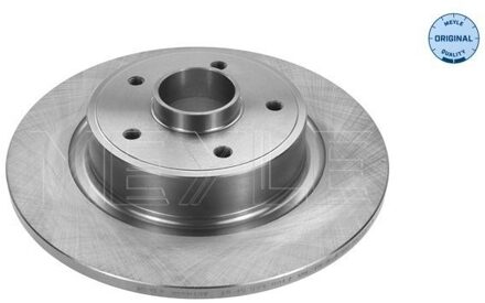 Renault Remschijf 16155230017