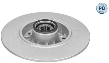 Renault Remschijf 16155234103PD