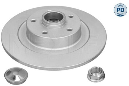 Renault Remschijf 16155234119PD