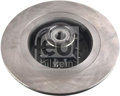 Renault Remschijf 171502