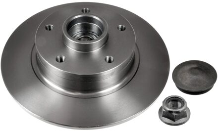 Renault Remschijf 38306