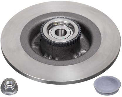 Renault Remschijf achter 24290