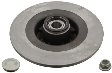 Renault remschijf ADR164325