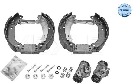 Renault Remschoenset 16145330017