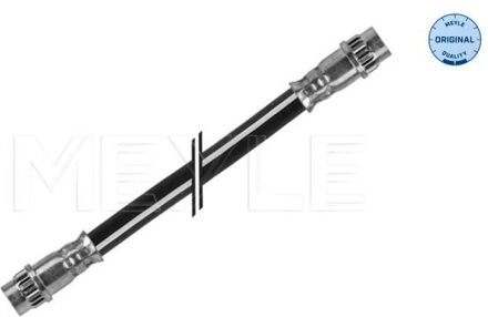 Renault Remslang 16145250004