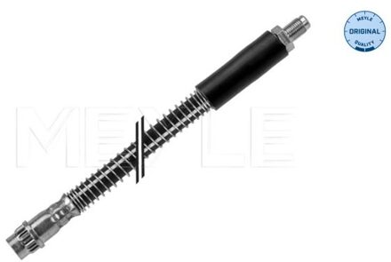 Renault Remslang 16145250006