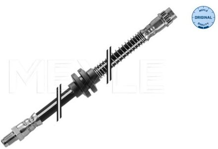 Renault Remslang 16145250013