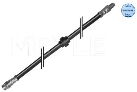 Renault Remslang 16145250025