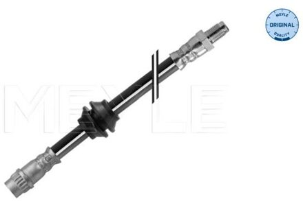 Renault Remslang 16145250026