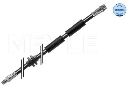 Renault Remslang 16145250029