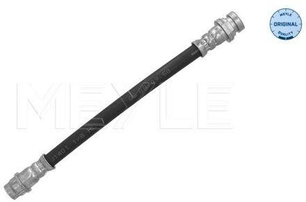 Renault Remslang 16145250033