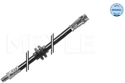 Renault Remslang 16145250035