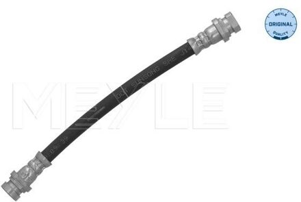 Renault Remslang 16145250036