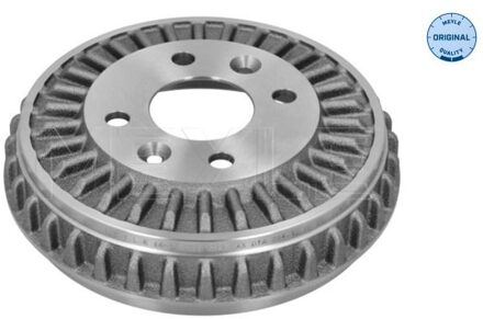 Renault Remtrommel 16155230032