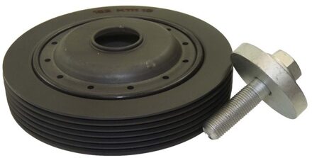 Renault Riemschijvenset, krukas 49418953