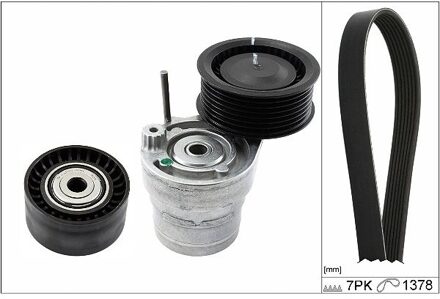 Renault Riemset 529031310