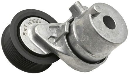 Renault Riemspanner, Poly V-riem VKM36134