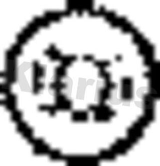 Renault Rubber 430030