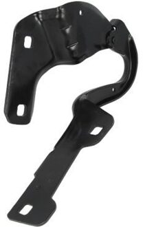 Renault Scharnier, motorkap 6802006033452P