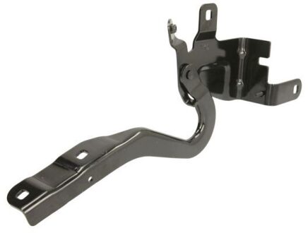 Renault Scharnier, motorkap 6802006034451P