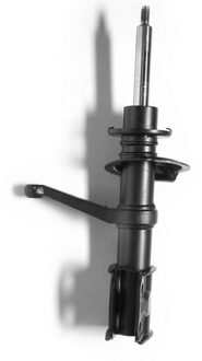 Renault Schokdemper 11806